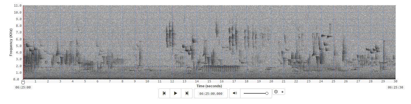 Interfaces for Analysing Long Duration Audio