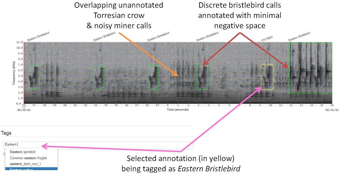 Figure 2. A spectrogram screens highlighting discrete annotations, overlapping calls, and tag creation