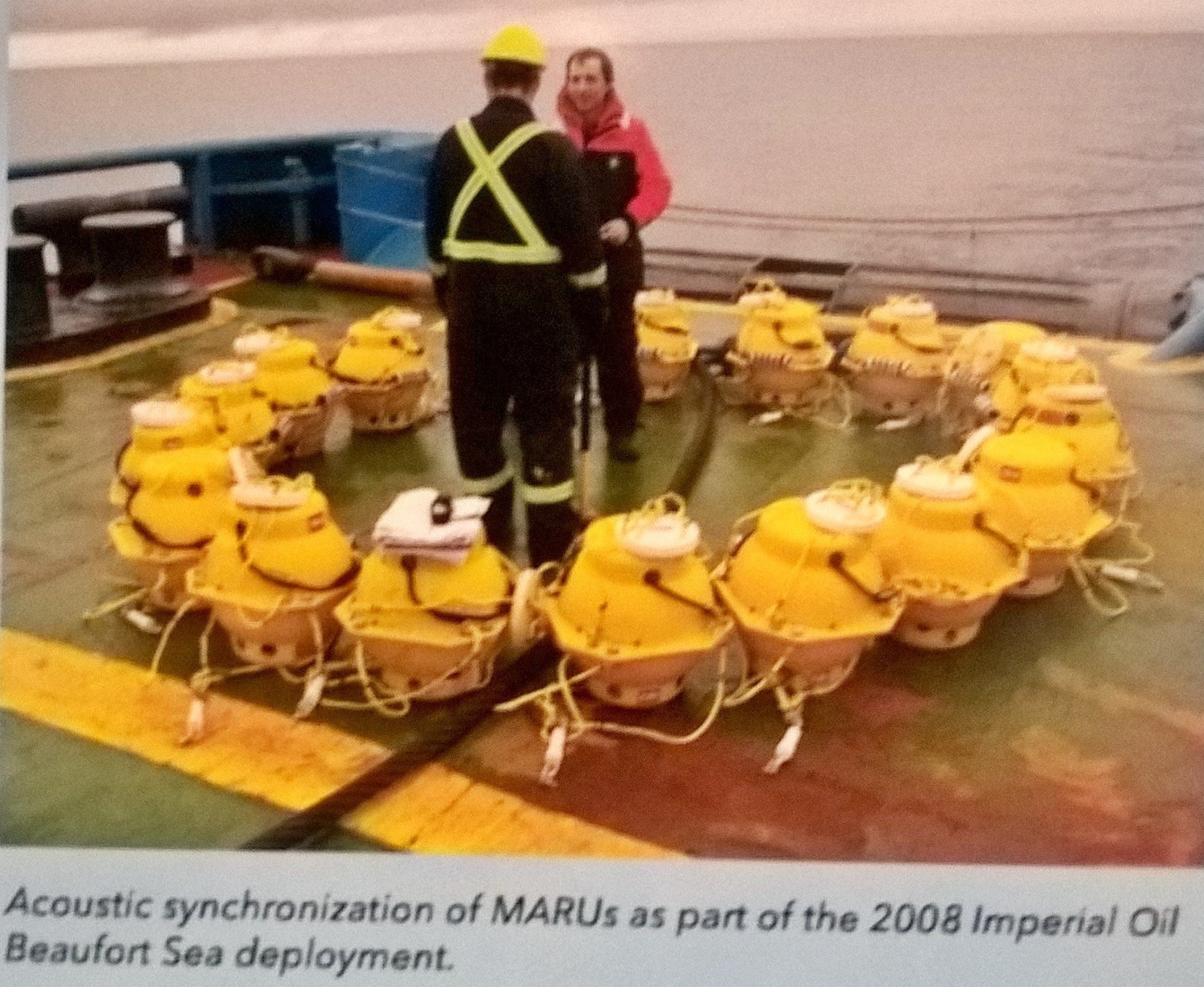 Eighteen hydrophones in process of being synchronised prior to deployment at sea.